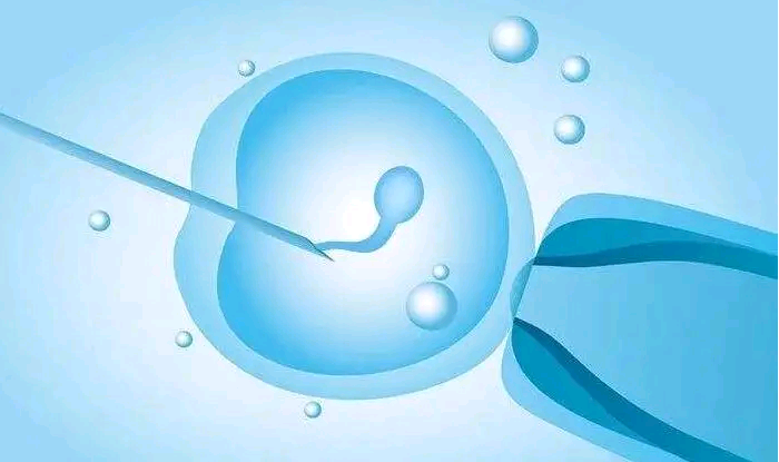 武汉供卵正规助孕机构,武汉最大的供卵试管中心在哪一家生殖机构？,在武汉注