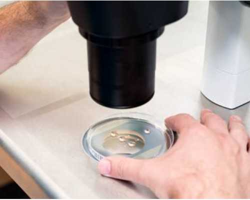 5999元moto razr 2022发布 折叠机内卷的开始、moto的常态