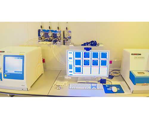 贾玲小斐婆媳关系完整版