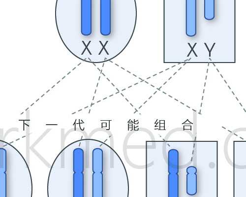 武汉专业代孕包性别,武汉三代供卵试管包生男孩,武汉三代试管