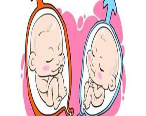 年度最佳CP，Lamy凌美Safari狩猎2022新款限定色奶白和草莓红钢笔