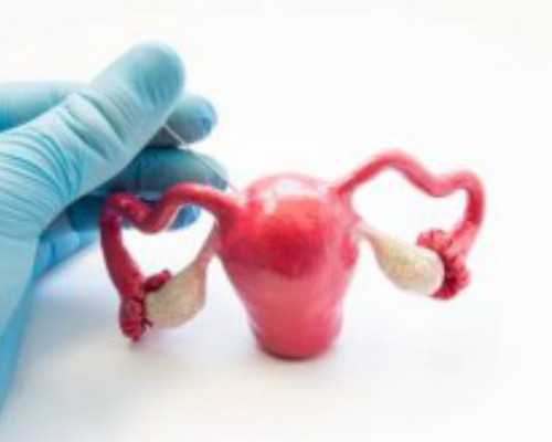 武汉哪里可以代生,武汉供卵试管生男孩的医院有哪些？