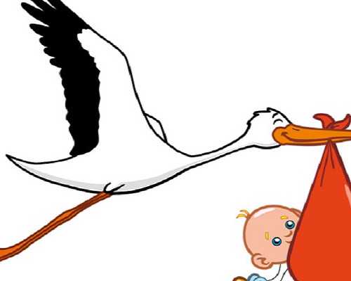 英国有哪些集团预科，分别有什么不同？