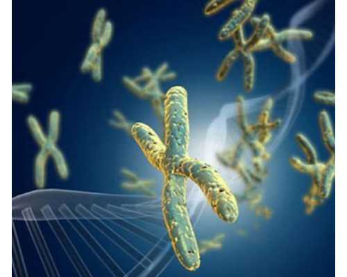 武汉找代孕哪家好,武汉供卵助孕试管(武汉供卵试管助孕机构)