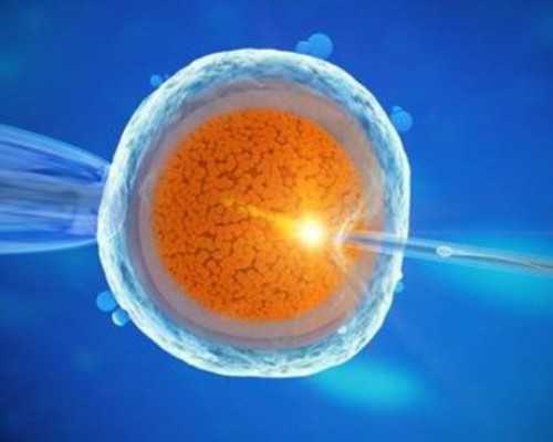 武汉代孕套餐费用,武汉试管医院排名武汉哪里做试管比较好