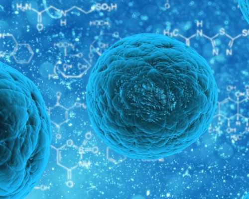 什么是是孕囊？孕早期看孕囊形状判断性别准不准？