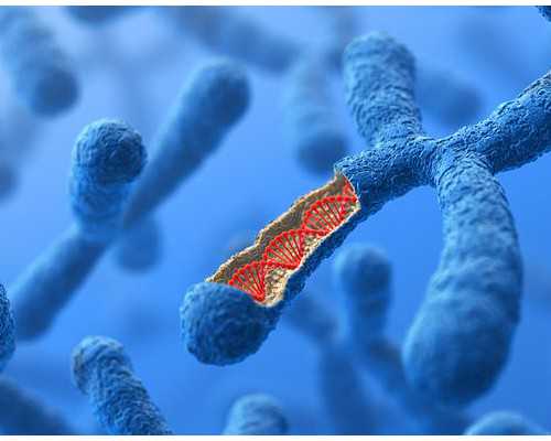 武汉代孕网有哪些,试管能选择性别吗【武汉助孕公司哪家好】