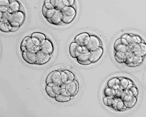 盘点8位内蒙古散打传奇（下），青格勒、宝力高、赵子龙、巴特尔