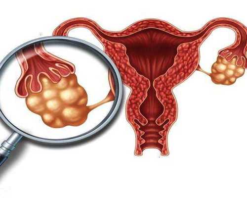 武汉代怀哪家最好,湖北武汉同济有供卵吗