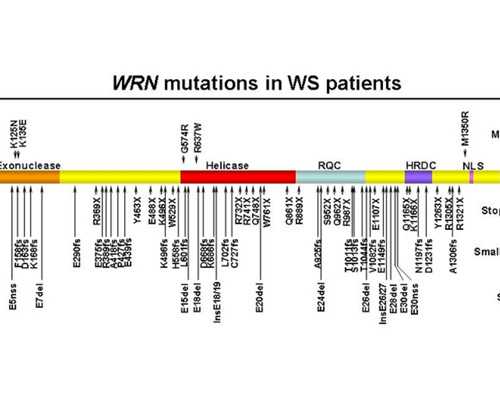 武汉专业供卵中心,武汉协和医院-武汉试管婴儿收费标准
