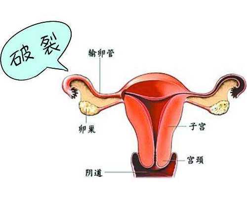 武汉专业代孕中心,武汉供卵速去传承生殖,武汉供卵还找传承生殖放心