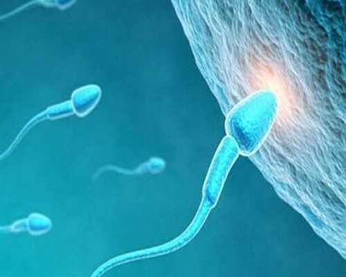 12月份待播大剧，你期待哪部？