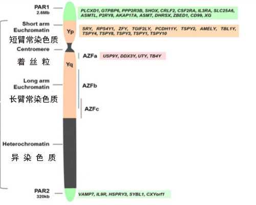 武汉靠谱的代孕电话,武汉供卵试管婴儿包成功,武汉三代试管婴儿供卵公司