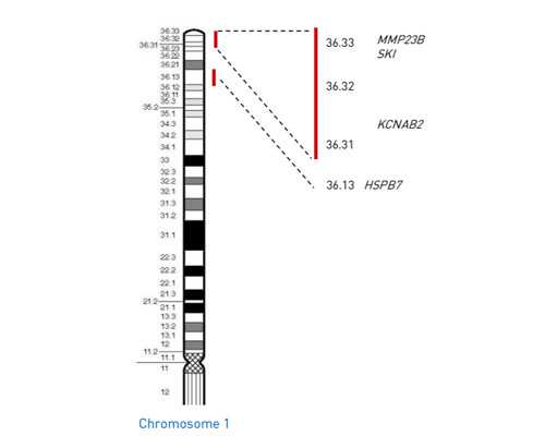 武汉代孕中心代孕套餐,湖北供卵试管的过程：武汉供卵助孕中心试管妈妈