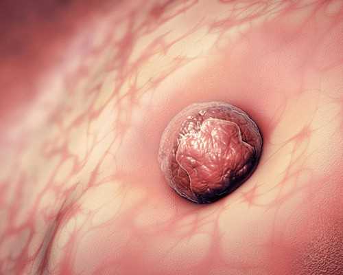 武汉没有代生公司吗,武汉有哪些医院可以做供卵试管？武汉供卵试管费用多少