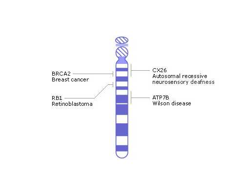 武汉专业代孕成功率,武汉人类精子库的机构