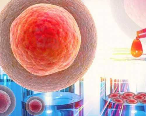 决定做试管什么时候去