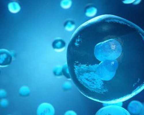 武汉代怀服务公司,武汉做试管的医院,武汉哪个医院做试管