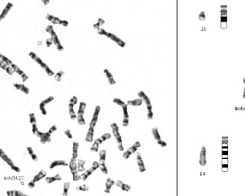 武汉正规的供卵助孕机构有哪些？武汉做试管婴儿能纳入医保吗？