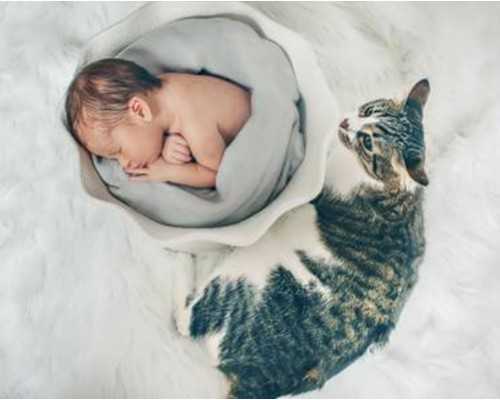 武汉代生全程价格,武汉试管费用(武汉做试管费用需要多少)