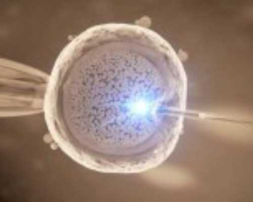 武汉代生医院正规吗,武汉试管费用(武汉做试管费用需要多少)