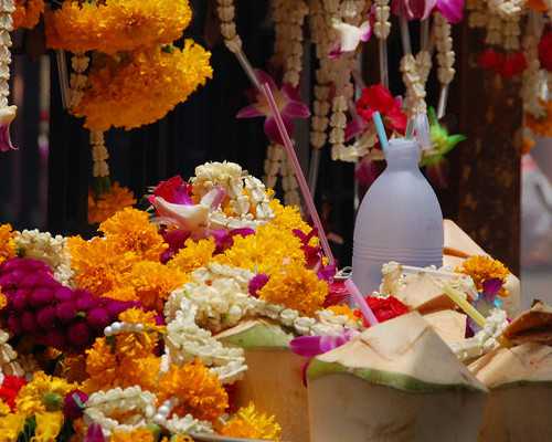 武汉代怀的联系方式,国内供卵试管价格是多少钱,武汉供卵试管多少钱