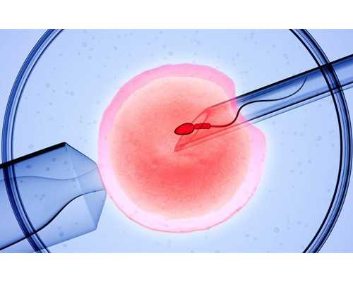 武汉买卵,武汉供卵要花多少钱(在武汉做试管要多少钱)