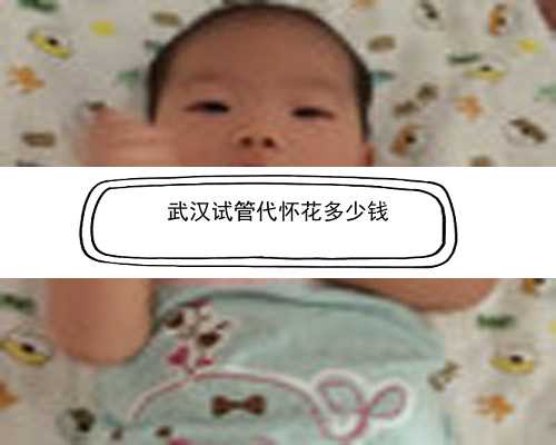 武汉代孕孩子是两个妈妈吗|32450_I7654_o5EeV_Xs5LL_两步移植法移植两个胚胎成双胞